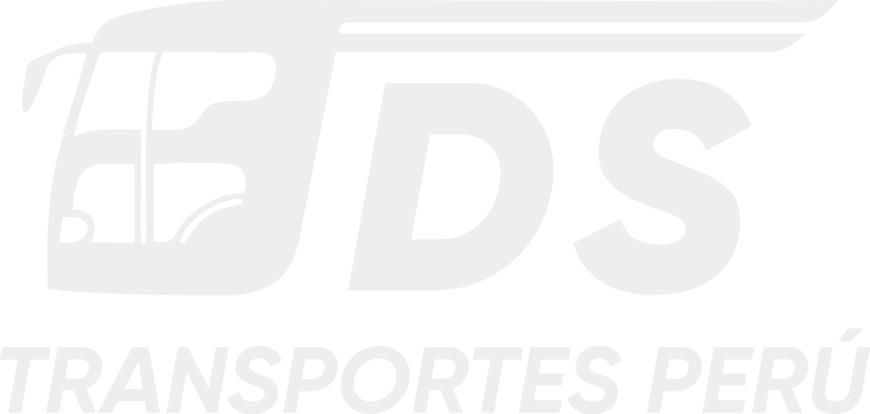 DS - Transportes Perú